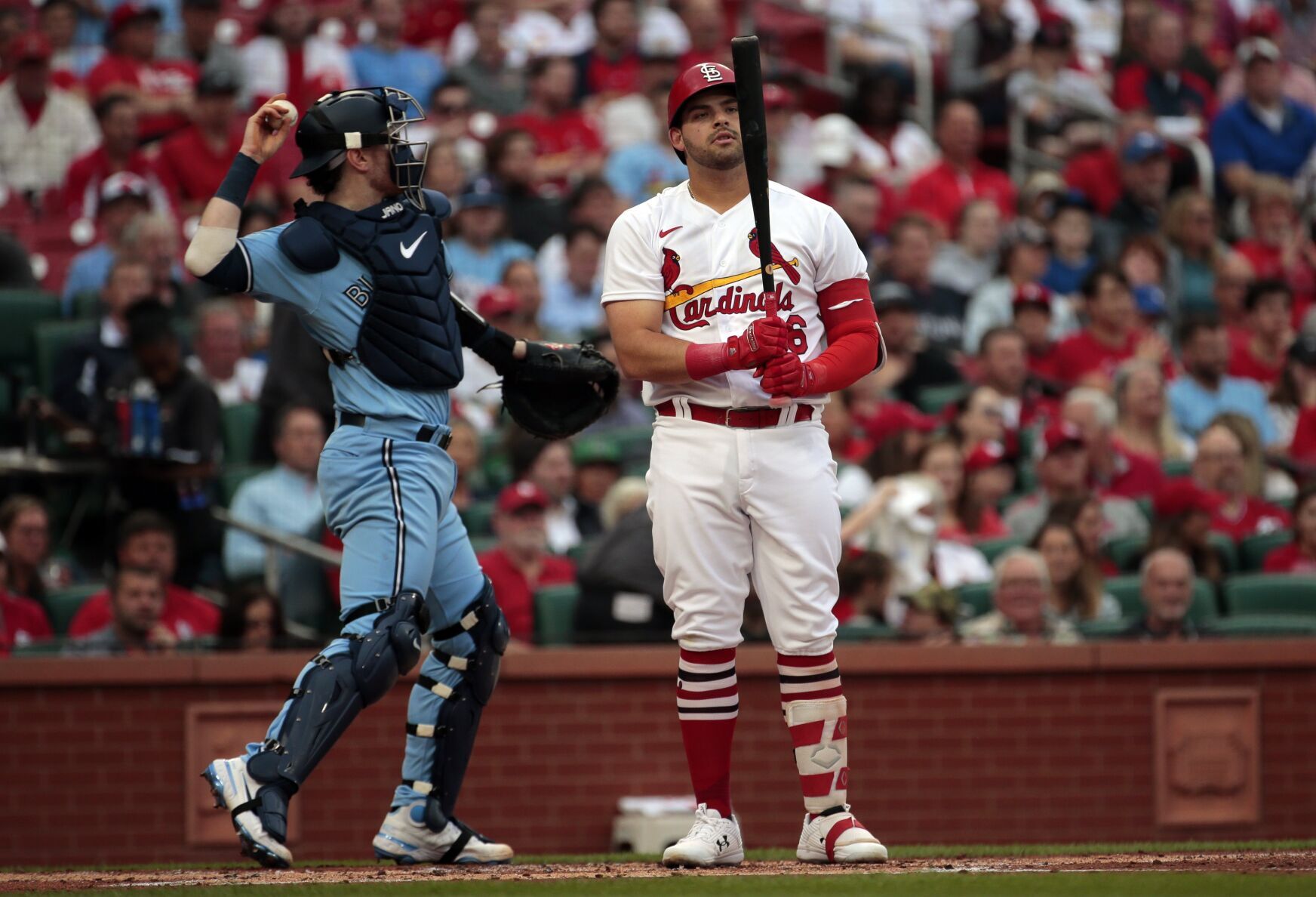 Cardinals, Blue Jays play at Busch